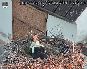 Capi_Dubne_20260426_060003.jpg (1350&nbsp;x&nbsp;1080)