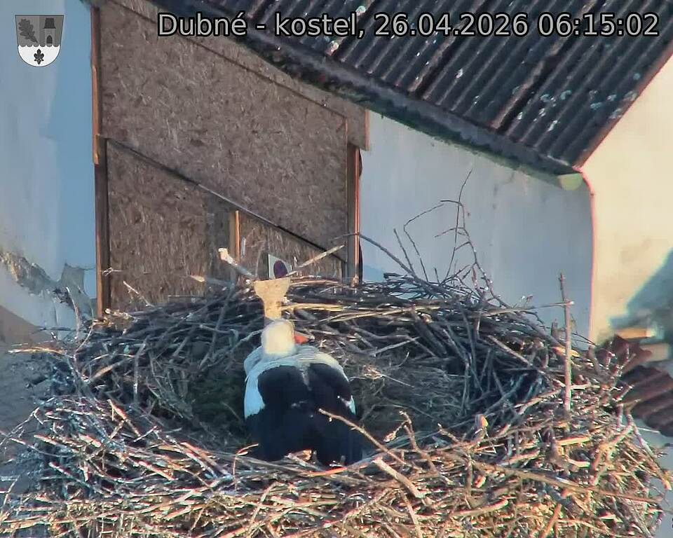 Capi_Dubne_20260426_061502.jpg (1350&nbsp;x&nbsp;1080)