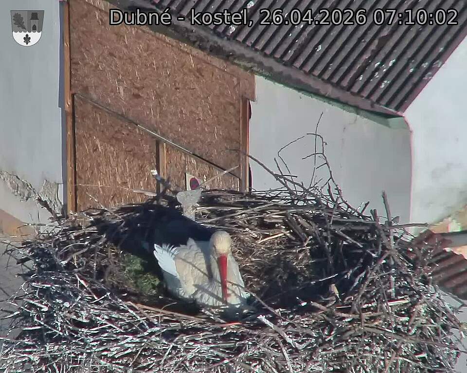 Capi_Dubne_20260426_071002.jpg (1350&nbsp;x&nbsp;1080)