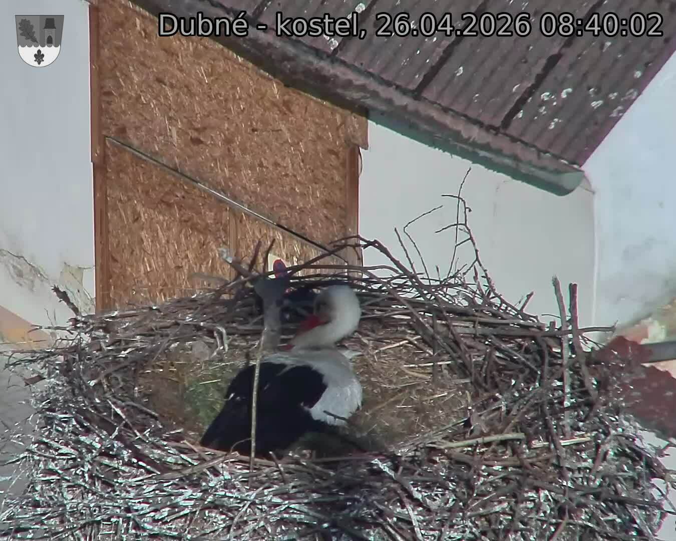 Capi_Dubne_20260426_084002.jpg (1350&nbsp;x&nbsp;1080)