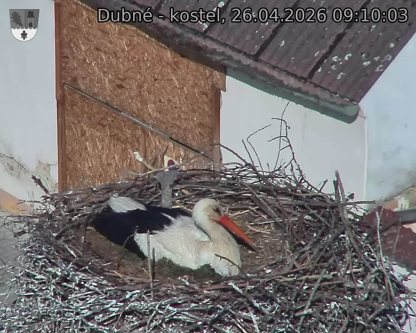 Capi_Dubne_20260426_091003.jpg (1350&nbsp;x&nbsp;1080)