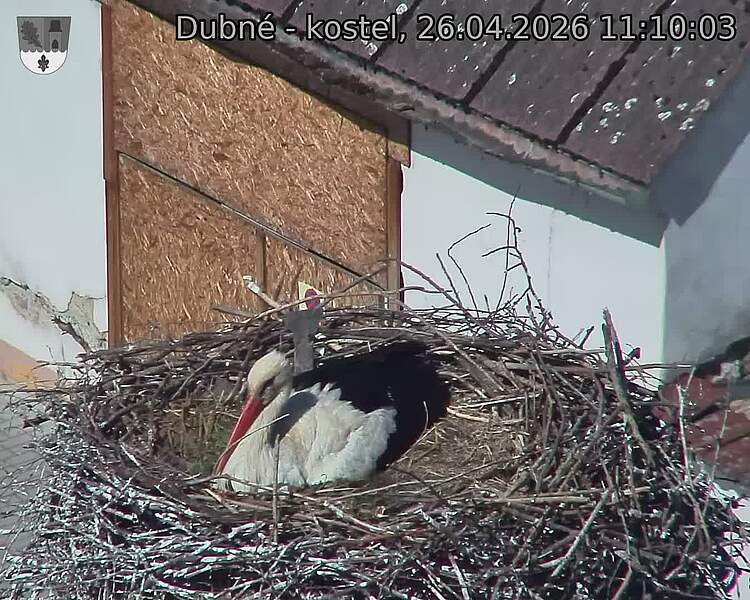 Capi_Dubne_20260426_111003.jpg (1350&nbsp;x&nbsp;1080)