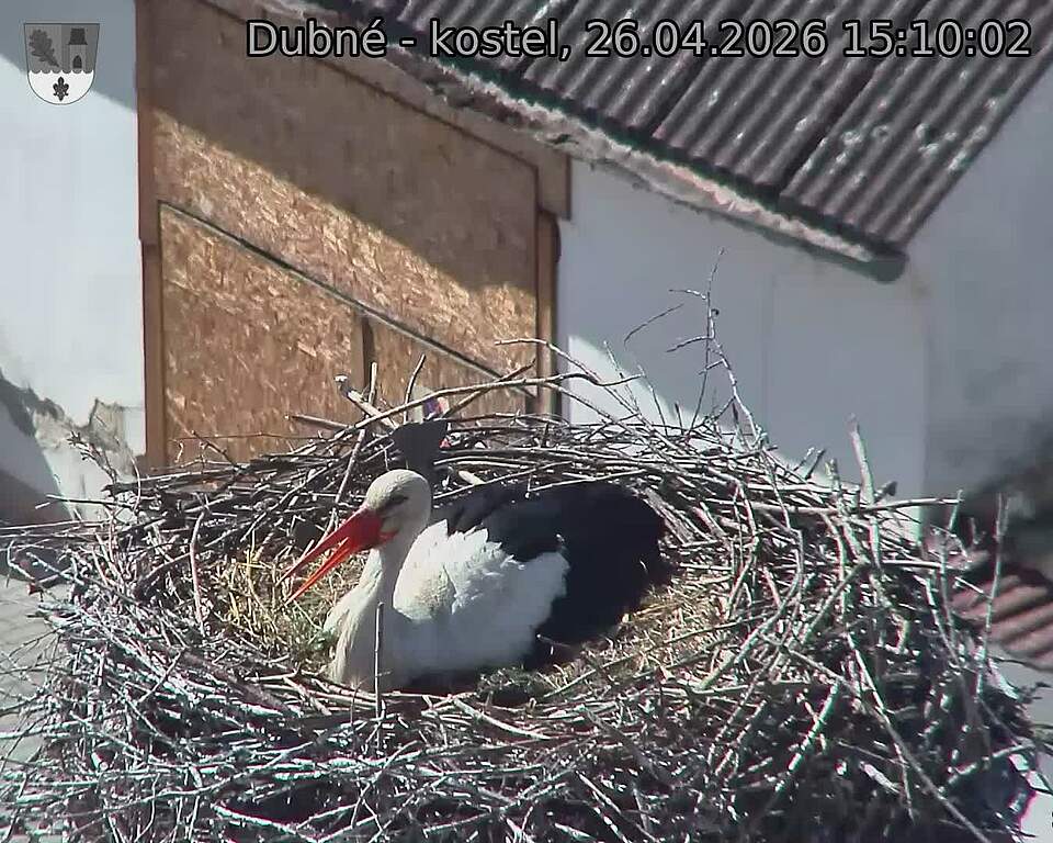 Capi_Dubne_20260426_151002.jpg (1350&nbsp;x&nbsp;1080)