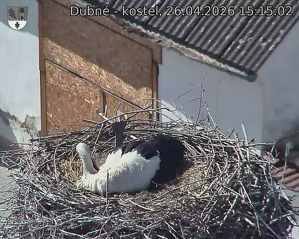 Capi_Dubne_20260426_151502.jpg (1350&nbsp;x&nbsp;1080)