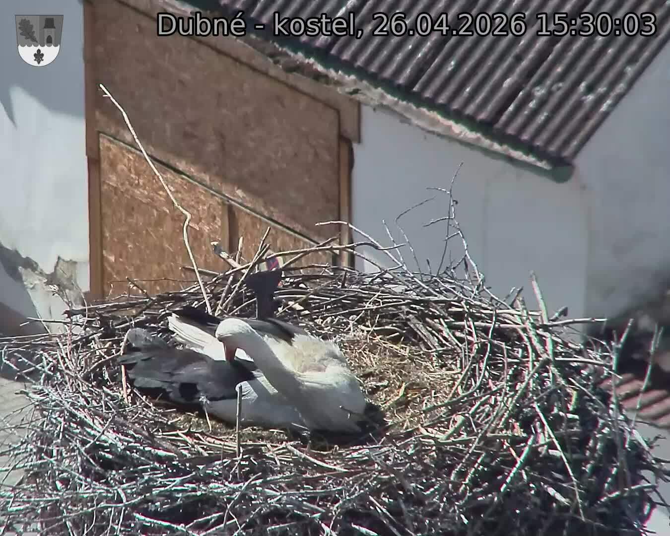 Capi_Dubne_20260426_153003.jpg (1350&nbsp;x&nbsp;1080)