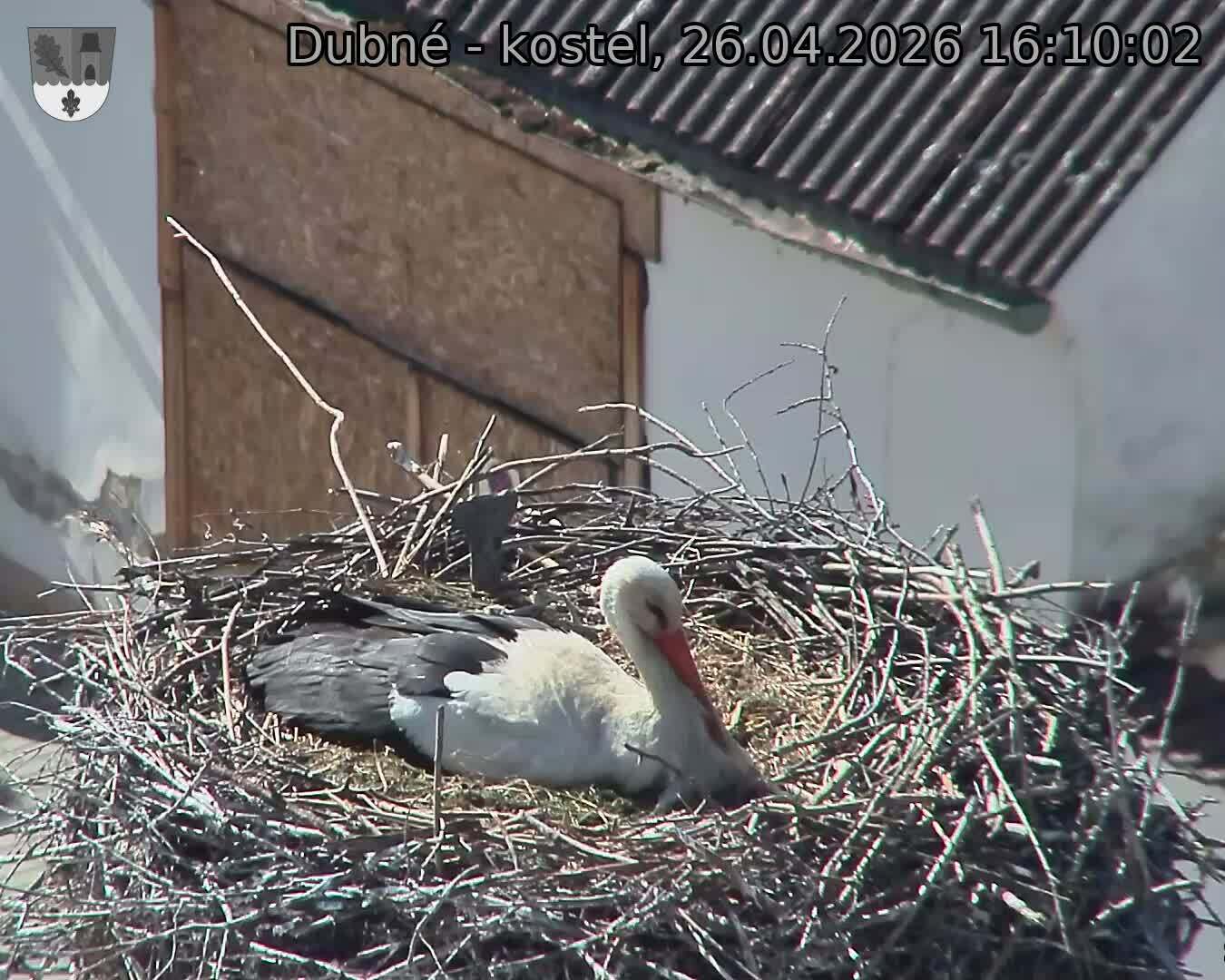 Capi_Dubne_20260426_161002.jpg (1350&nbsp;x&nbsp;1080)