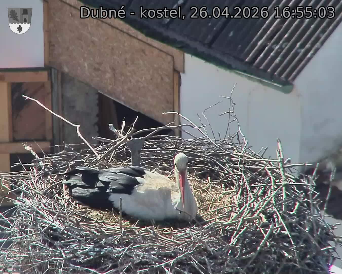 Capi_Dubne_20260426_165503.jpg (1350&nbsp;x&nbsp;1080)