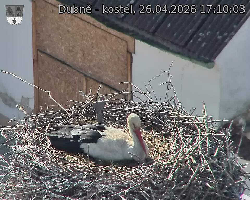 Capi_Dubne_20260426_171003.jpg (1350&nbsp;x&nbsp;1080)