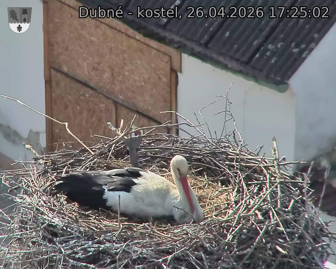 Capi_Dubne_20260426_172502.jpg (1350&nbsp;x&nbsp;1080)