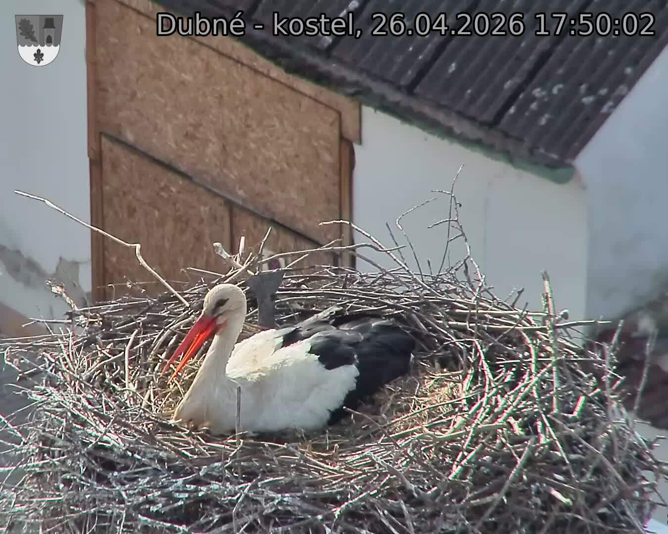 Capi_Dubne_20260426_175002.jpg (1350&nbsp;x&nbsp;1080)