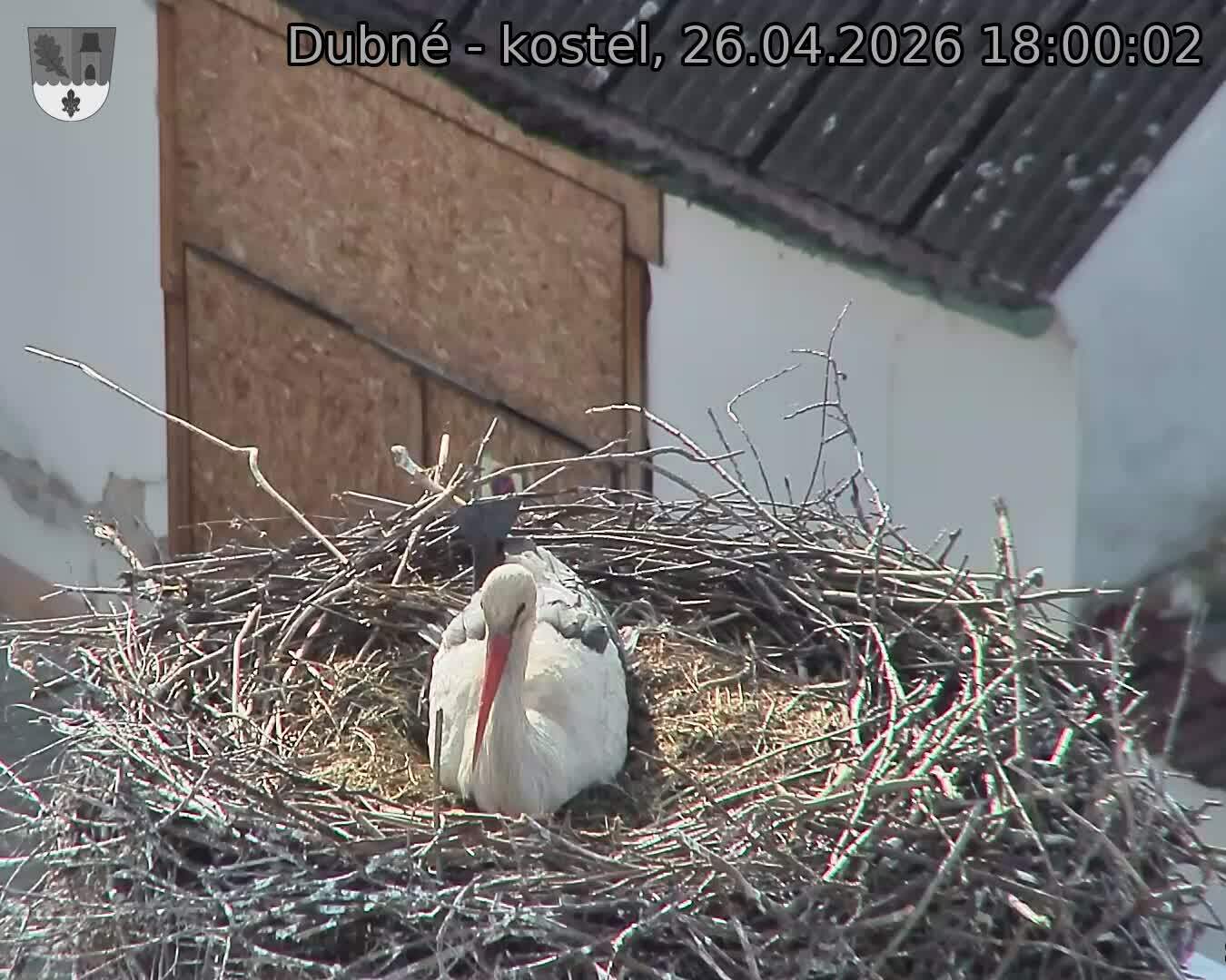 Capi_Dubne_20260426_180002.jpg (1350&nbsp;x&nbsp;1080)