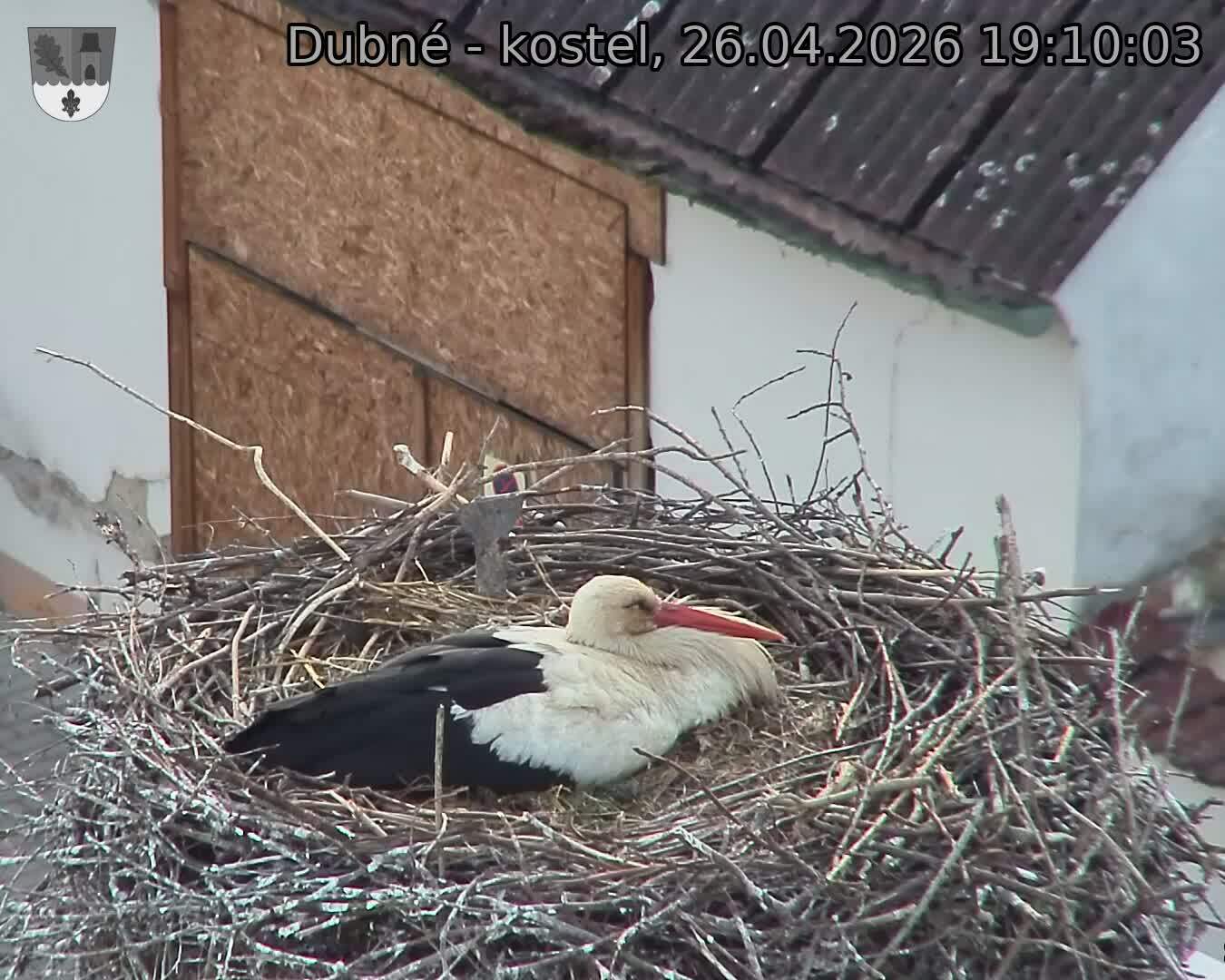 Capi_Dubne_20260426_191003.jpg (1350&nbsp;x&nbsp;1080)