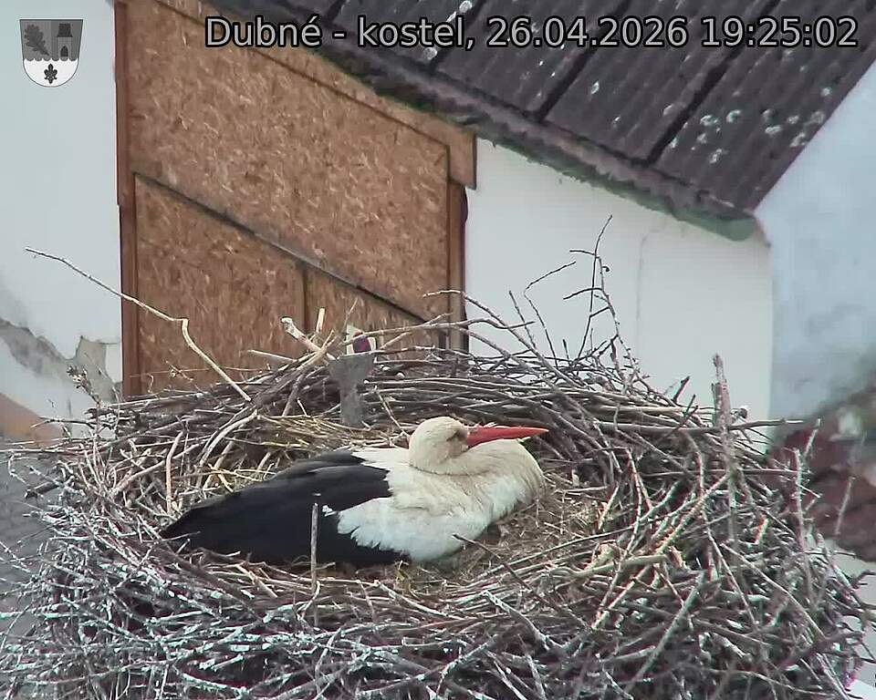 Capi_Dubne_20260426_192502.jpg (1350&nbsp;x&nbsp;1080)