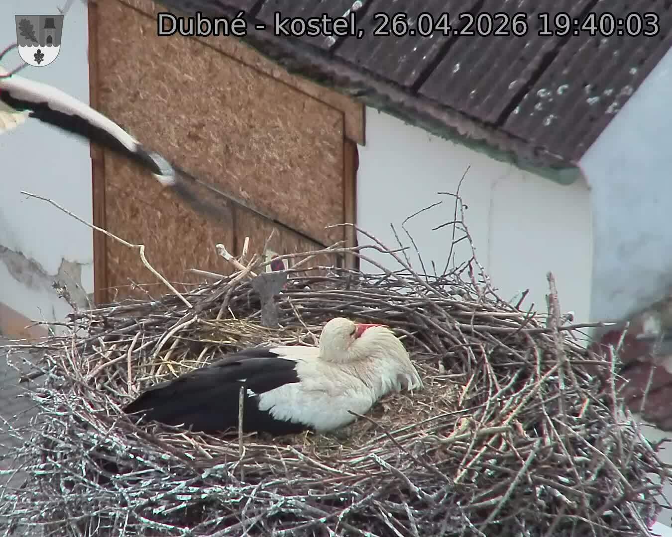 Capi_Dubne_20260426_194003.jpg (1350&nbsp;x&nbsp;1080)