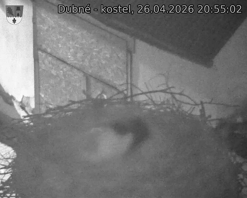 Capi_Dubne_20260426_205502.jpg (1350&nbsp;x&nbsp;1080)