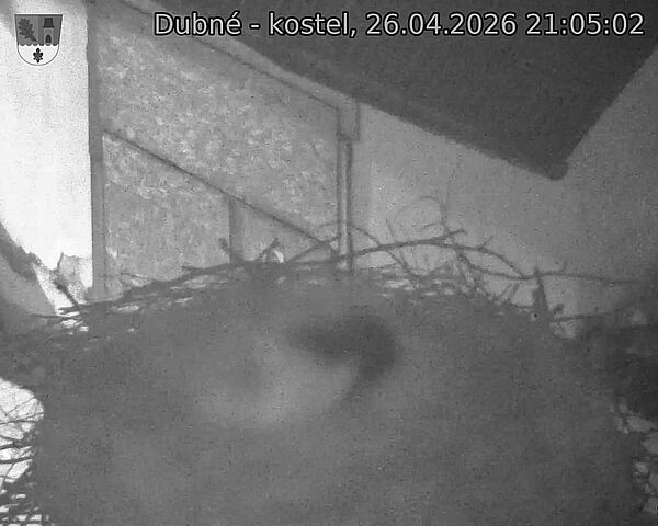 Capi_Dubne_20260426_210502.jpg (1350&nbsp;x&nbsp;1080)