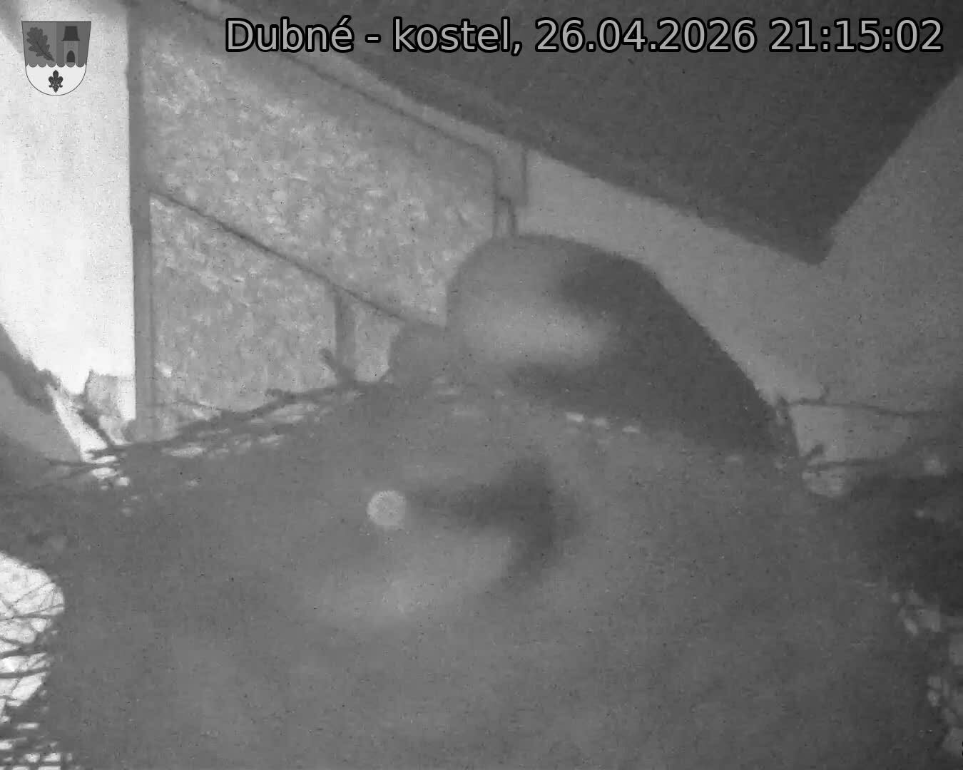 Capi_Dubne_20260426_211502.jpg (1350&nbsp;x&nbsp;1080)