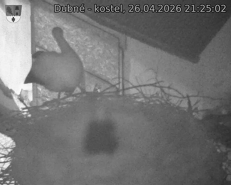 Capi_Dubne_20260426_212502.jpg (1350&nbsp;x&nbsp;1080)
