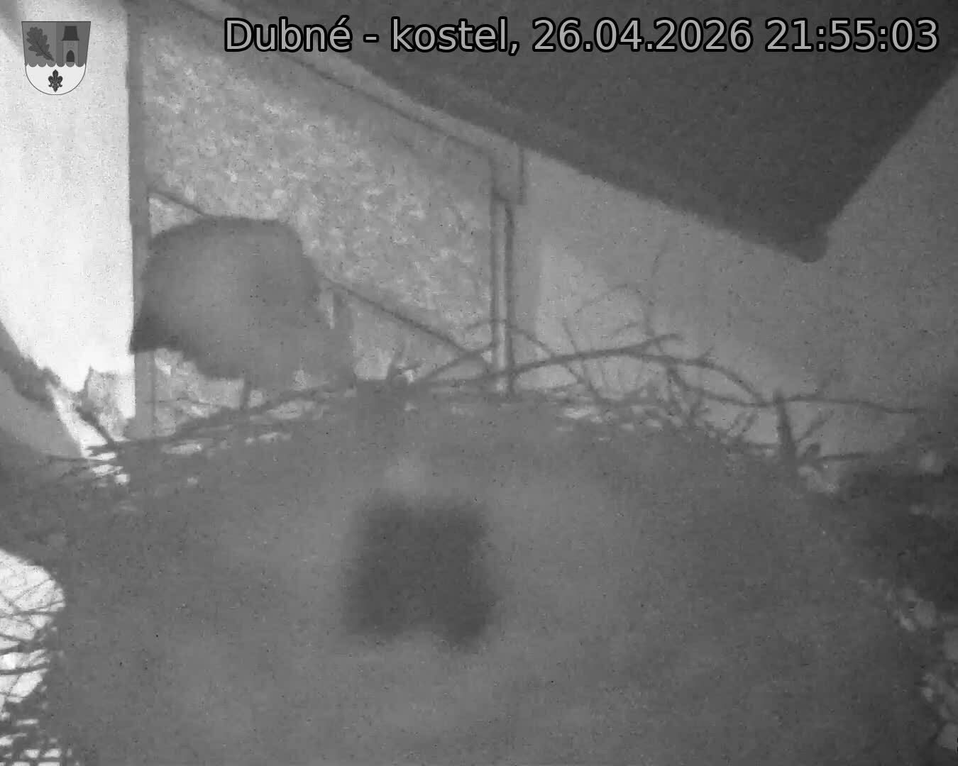 Capi_Dubne_20260426_215503.jpg (1350&nbsp;x&nbsp;1080)