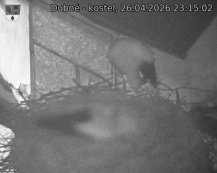 Capi_Dubne_20260426_231502.jpg (1350&nbsp;x&nbsp;1080)