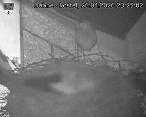 Capi_Dubne_20260426_232502.jpg (1350&nbsp;x&nbsp;1080)