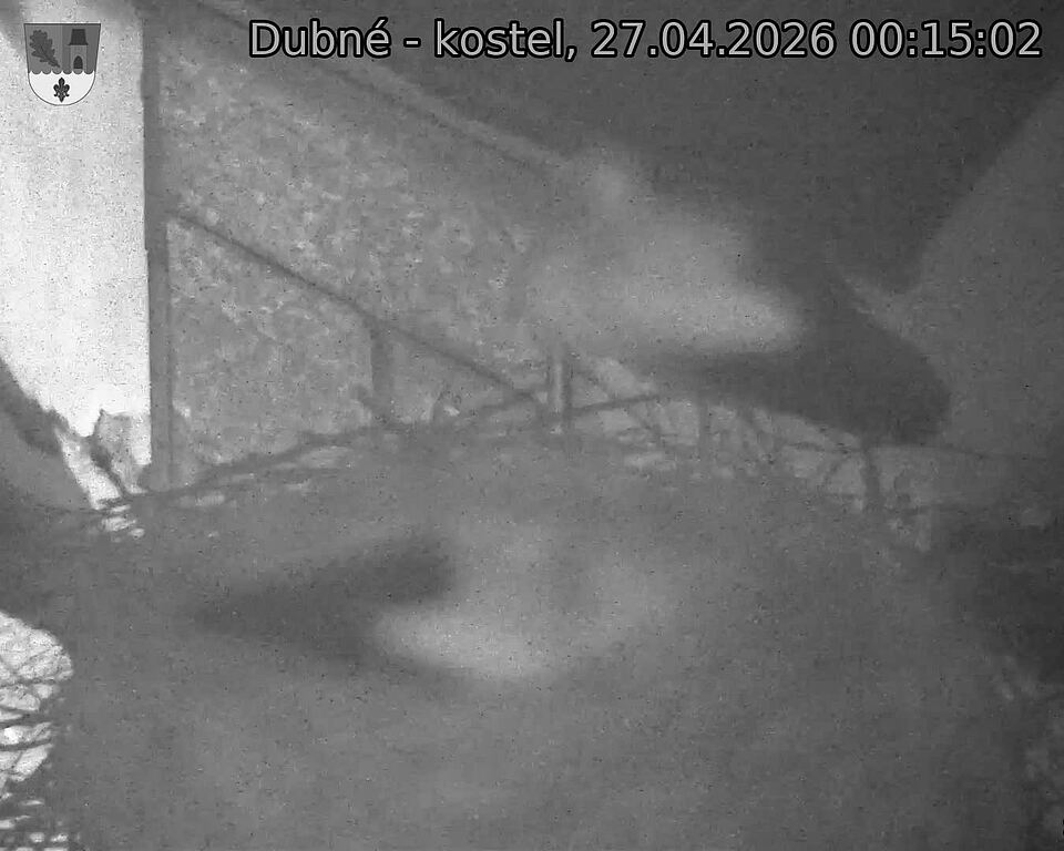 Capi_Dubne_20260427_001502.jpg (1350&nbsp;x&nbsp;1080)