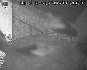 Capi_Dubne_20260427_001502.jpg (1350&nbsp;x&nbsp;1080)