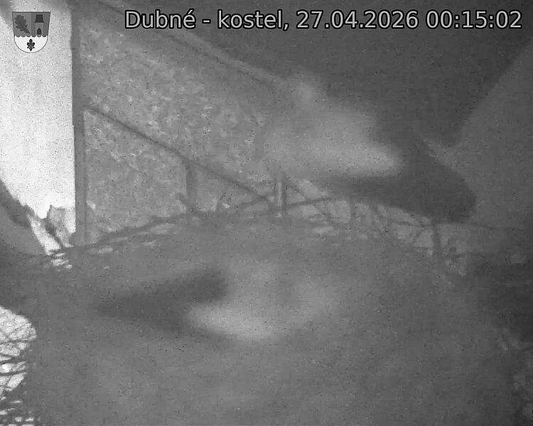 Capi_Dubne_20260427_001502.jpg (1350&nbsp;x&nbsp;1080)
