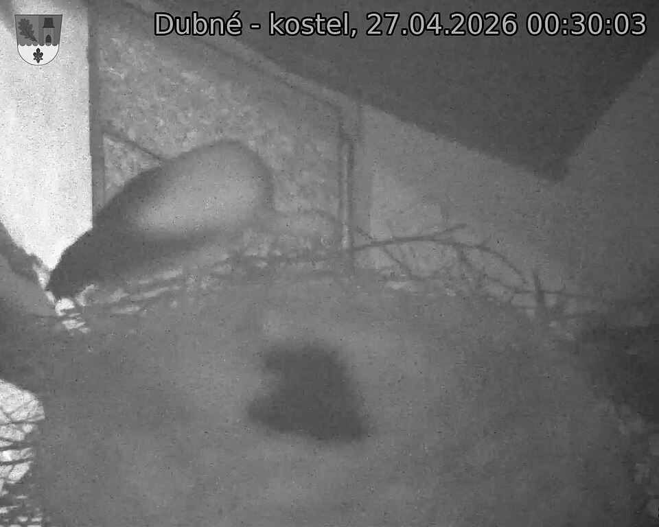 Capi_Dubne_20260427_003003.jpg (1350&nbsp;x&nbsp;1080)