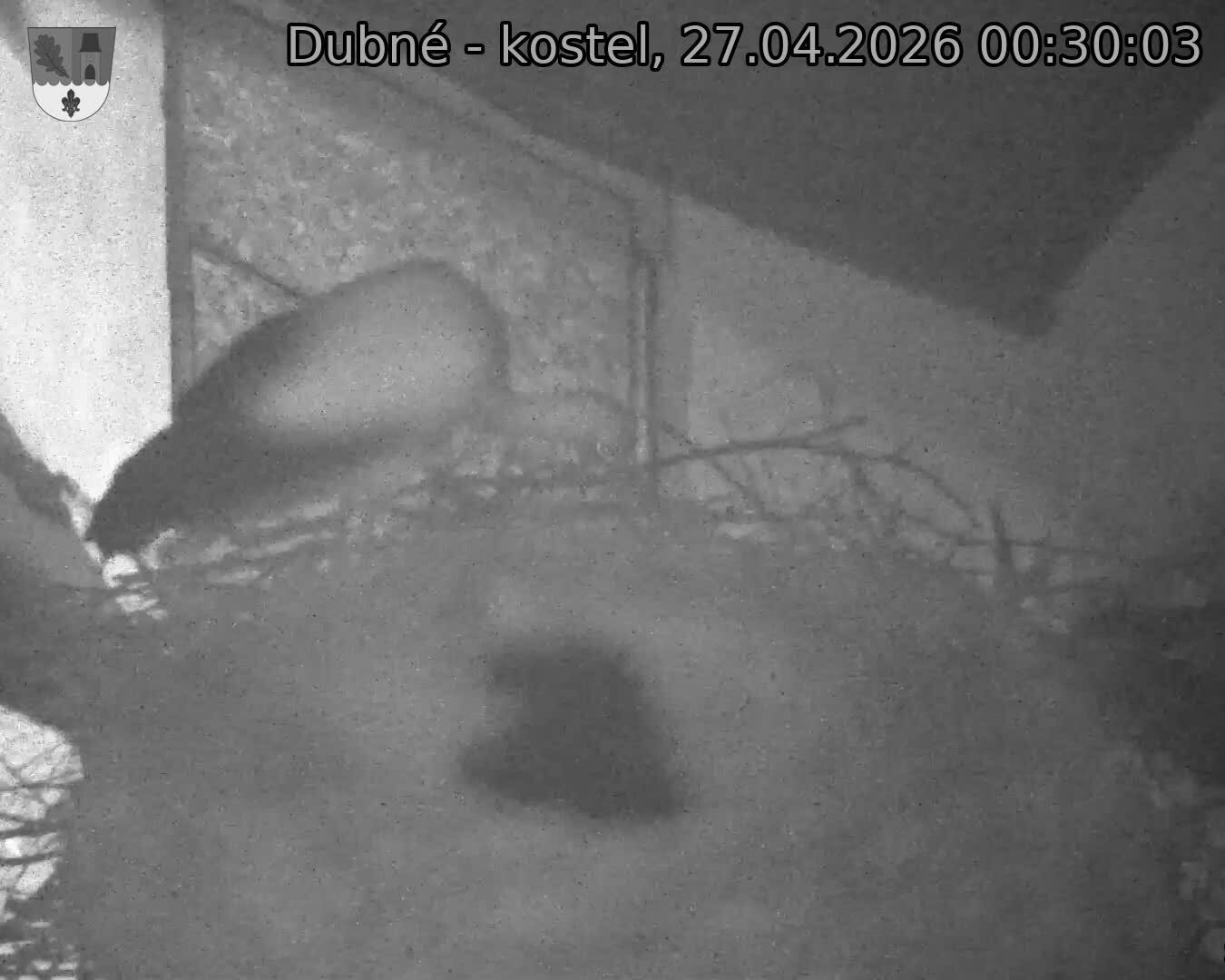 Capi_Dubne_20260427_003003.jpg (1350&nbsp;x&nbsp;1080)