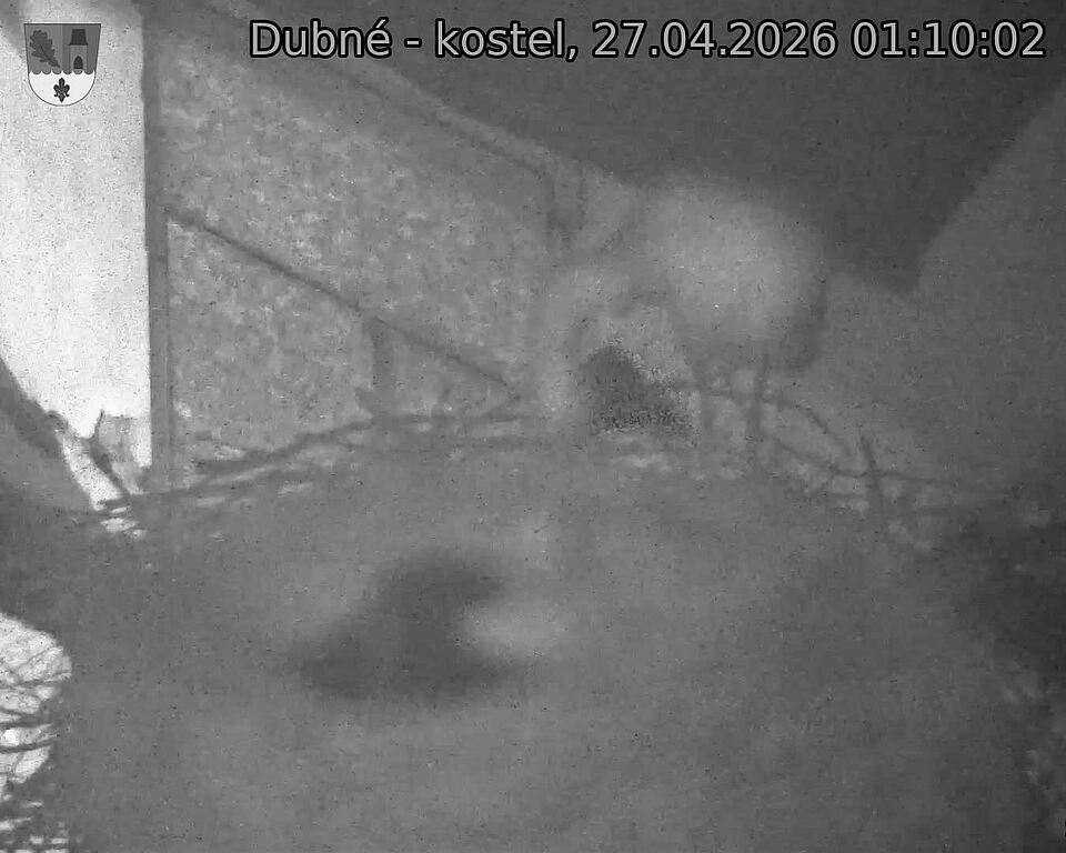 Capi_Dubne_20260427_011002.jpg (1350&nbsp;x&nbsp;1080)