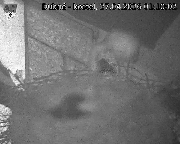 Capi_Dubne_20260427_011002.jpg (1350&nbsp;x&nbsp;1080)