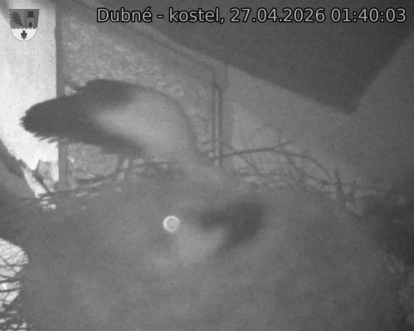 Capi_Dubne_20260427_014003.jpg (1350&nbsp;x&nbsp;1080)