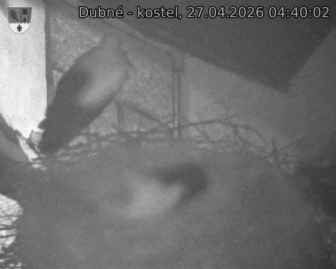 Capi_Dubne_20260427_044002.jpg (1350&nbsp;x&nbsp;1080)