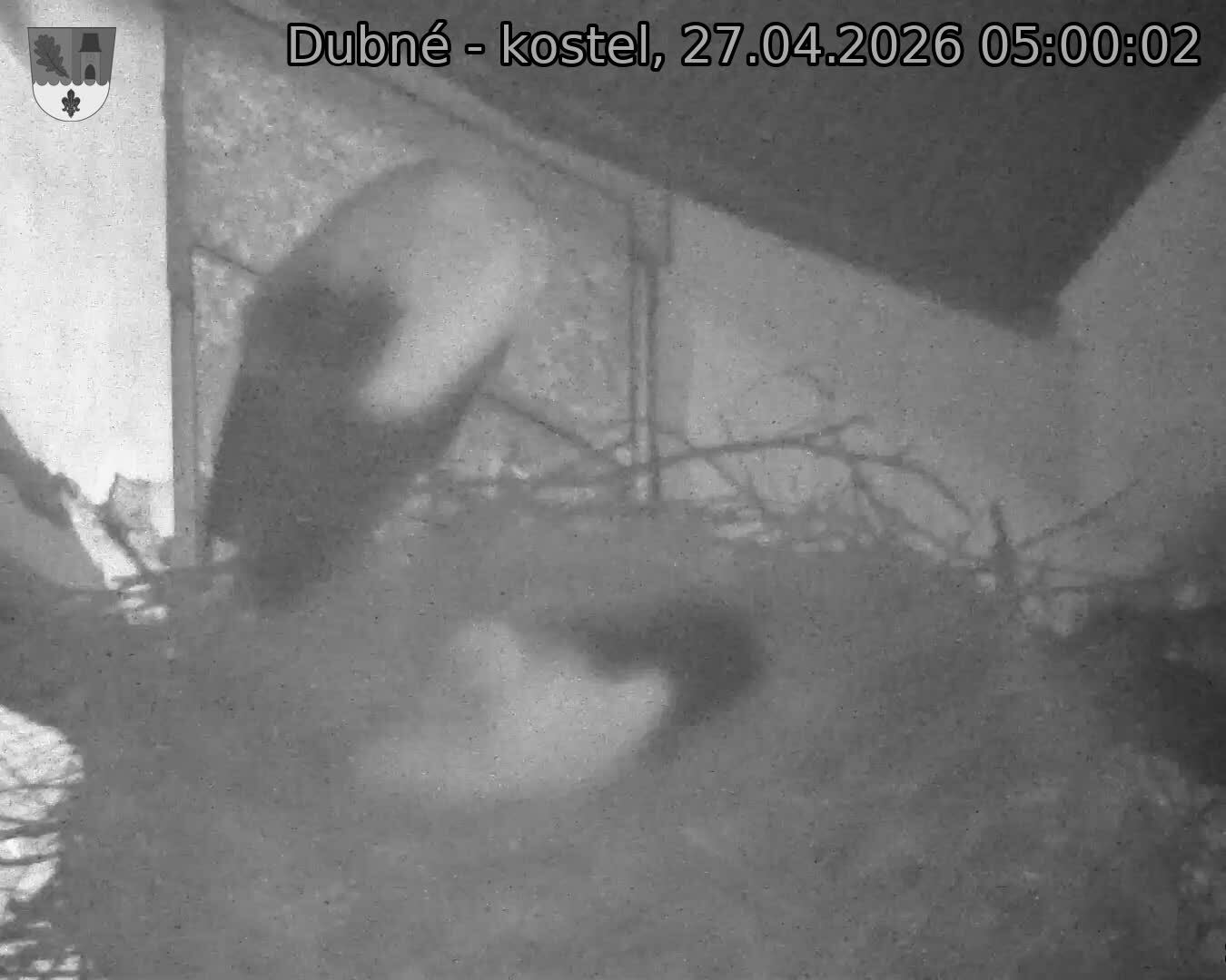 Capi_Dubne_20260427_050002.jpg (1350&nbsp;x&nbsp;1080)