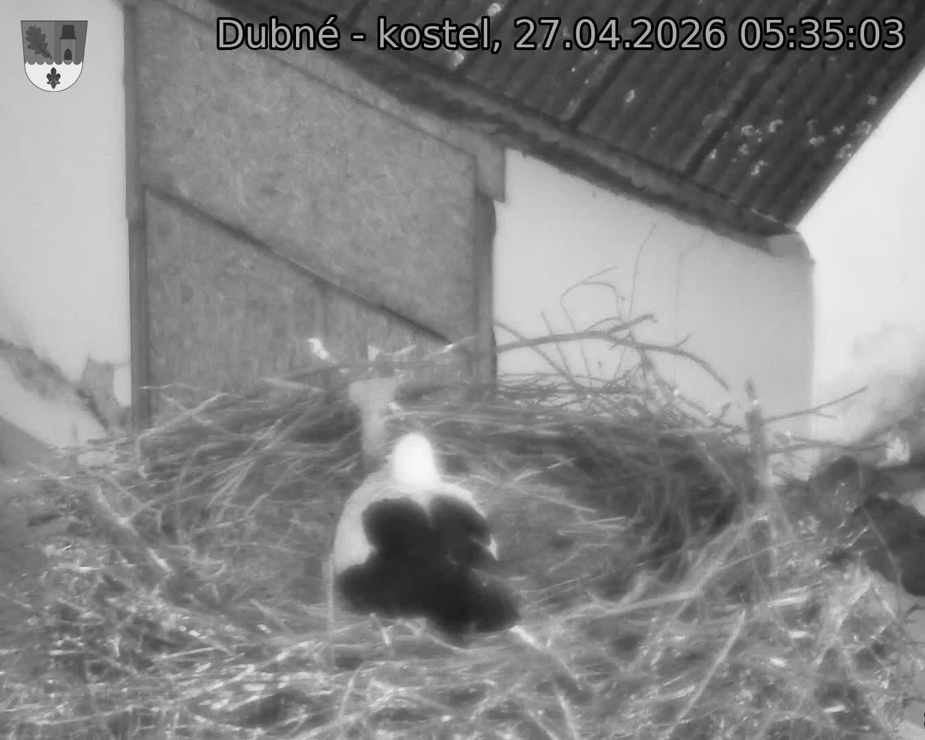 Capi_Dubne_20260427_053503.jpg (1350&nbsp;x&nbsp;1080)