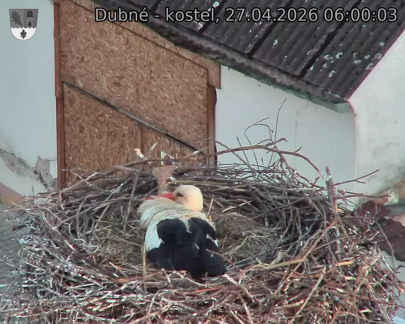 Capi_Dubne_20260427_060003.jpg (1350&nbsp;x&nbsp;1080)