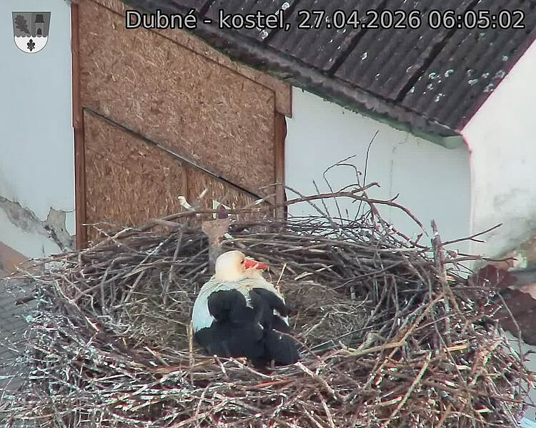 Capi_Dubne_20260427_060502.jpg (1350&nbsp;x&nbsp;1080)