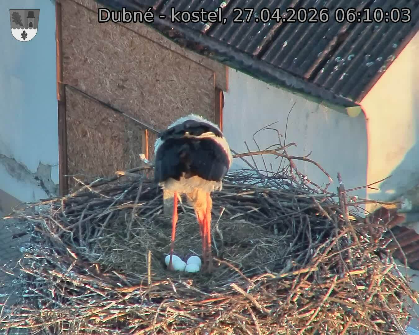 Capi_Dubne_20260427_061003.jpg (1350&nbsp;x&nbsp;1080)