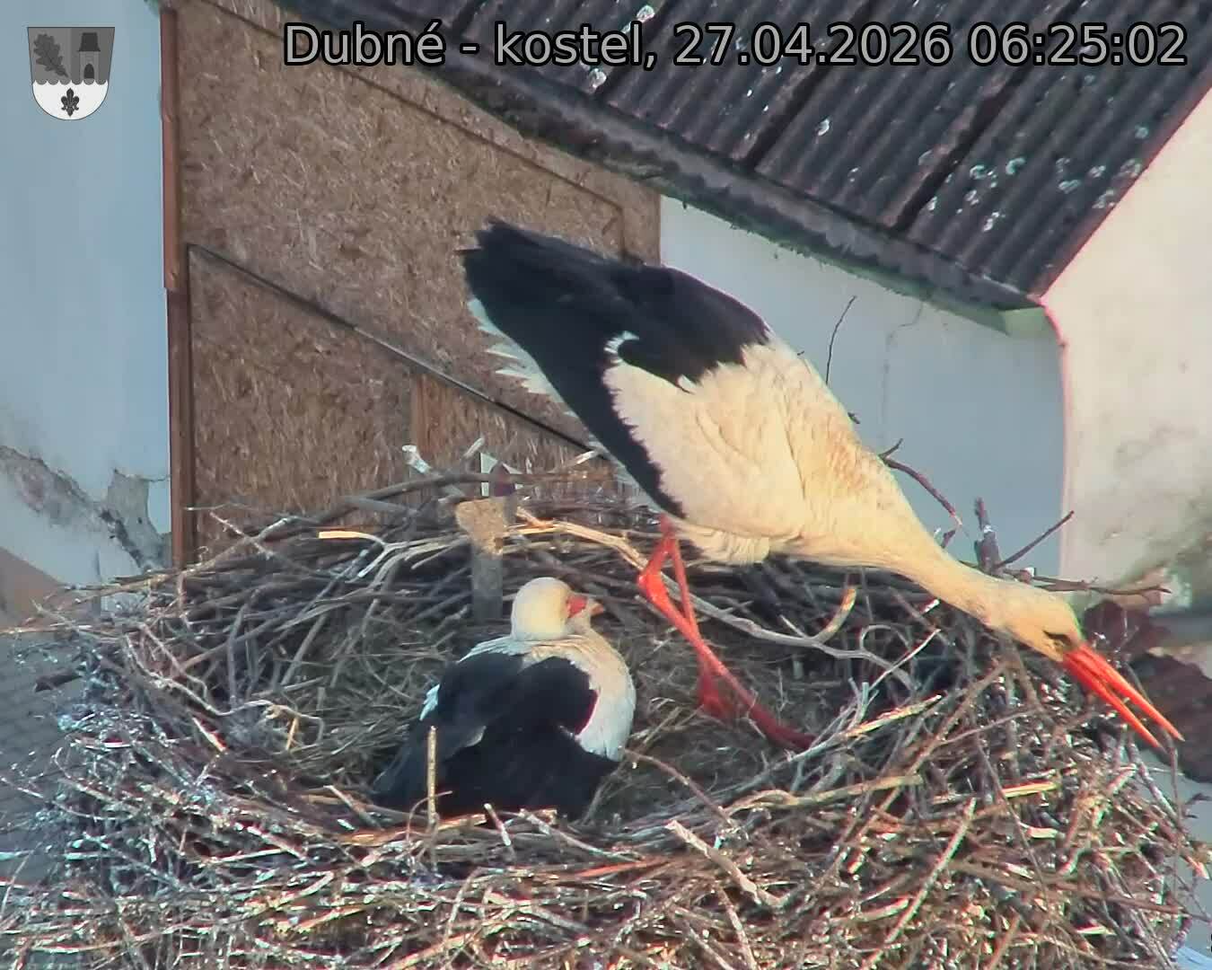 Capi_Dubne_20260427_062502.jpg (1350&nbsp;x&nbsp;1080)