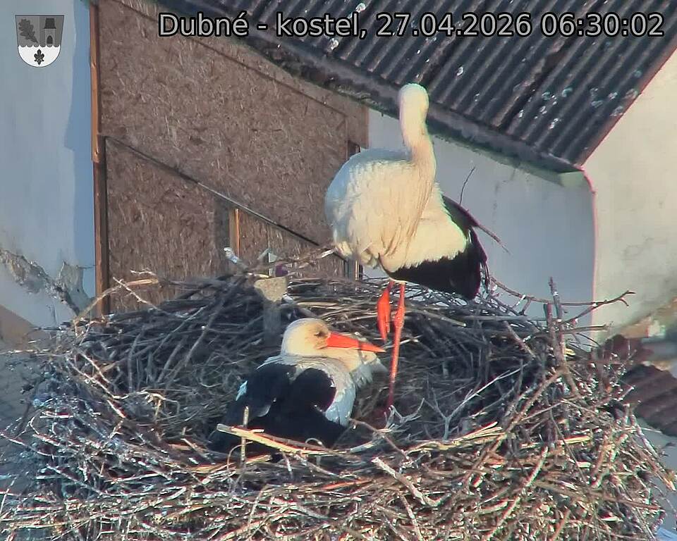 Capi_Dubne_20260427_063003.jpg (1350&nbsp;x&nbsp;1080)