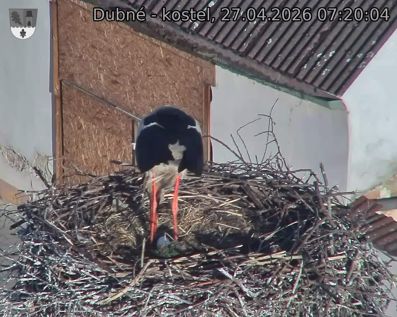 Capi_Dubne_20260427_072004.jpg (1350&nbsp;x&nbsp;1080)