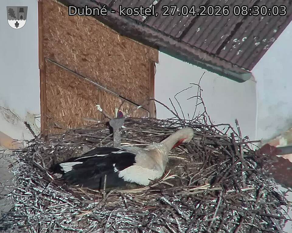 Capi_Dubne_20260427_083003.jpg (1350&nbsp;x&nbsp;1080)