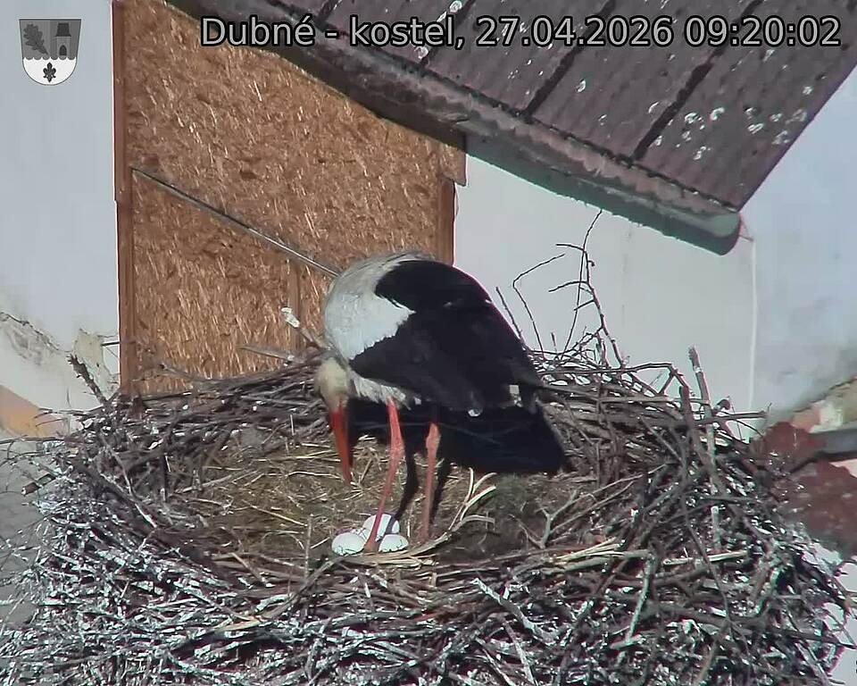 Capi_Dubne_20260427_092002.jpg (1350&nbsp;x&nbsp;1080)