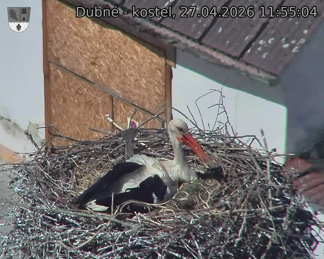 Capi_Dubne_20260427_115504.jpg (1350&nbsp;x&nbsp;1080)