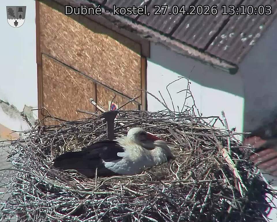 Capi_Dubne_20260427_131003.jpg (1350&nbsp;x&nbsp;1080)