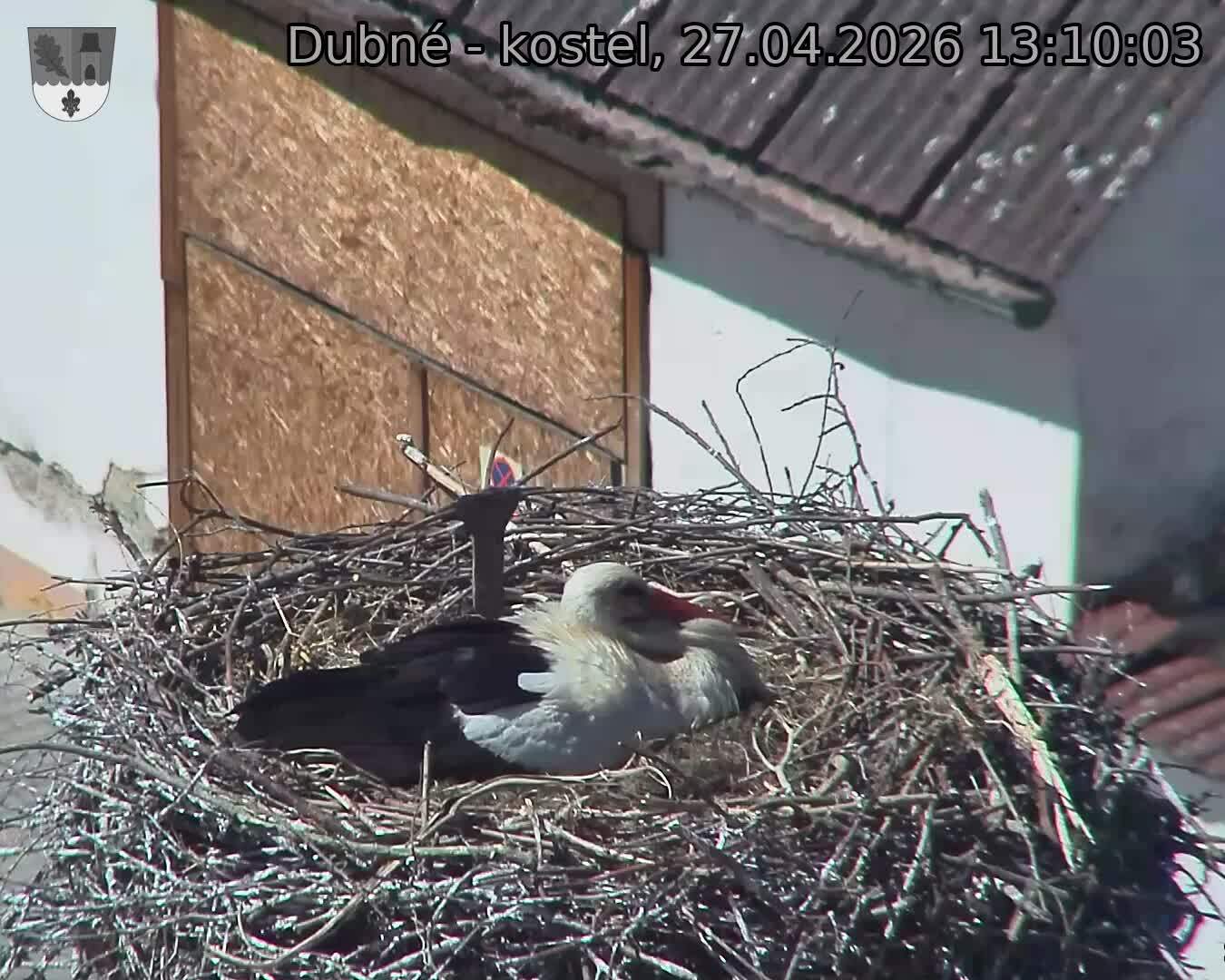 Capi_Dubne_20260427_131003.jpg (1350&nbsp;x&nbsp;1080)