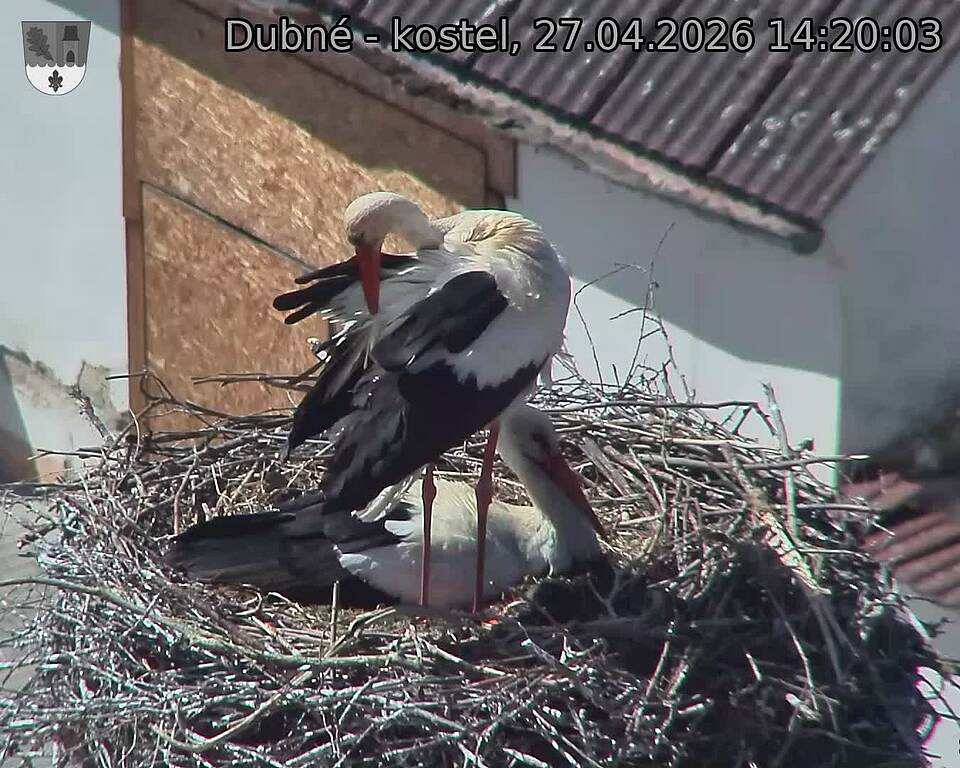 Capi_Dubne_20260427_142003.jpg (1350&nbsp;x&nbsp;1080)