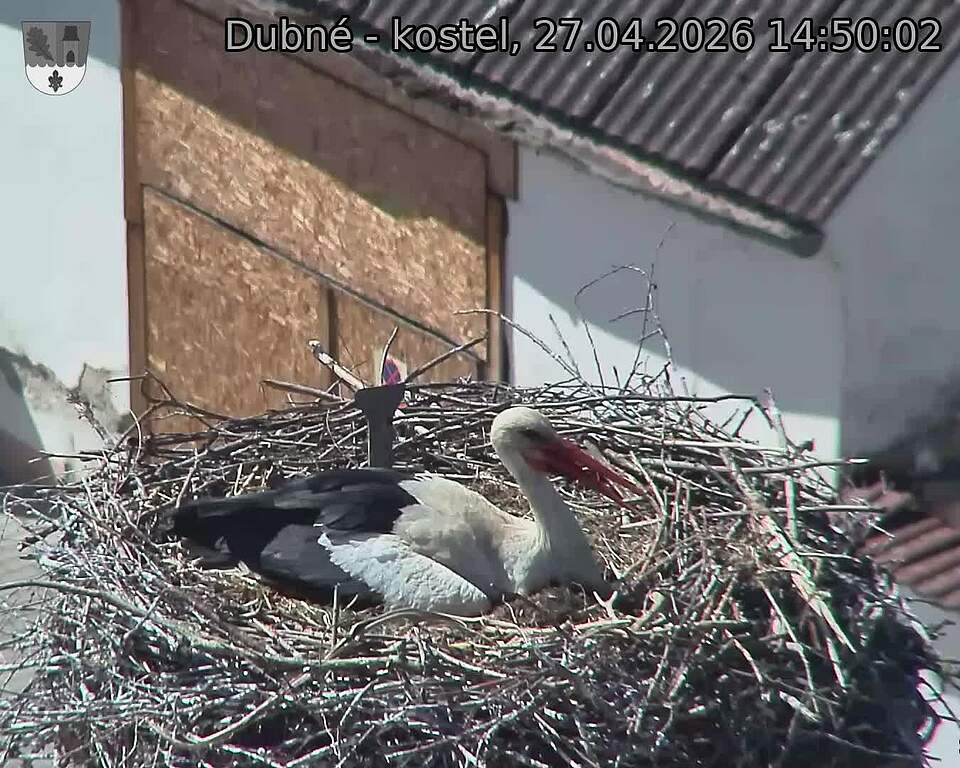 Capi_Dubne_20260427_145002.jpg (1350&nbsp;x&nbsp;1080)