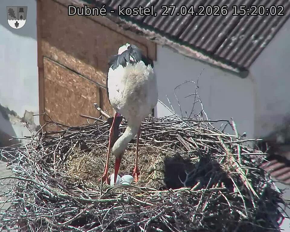 Capi_Dubne_20260427_152002.jpg (1350&nbsp;x&nbsp;1080)